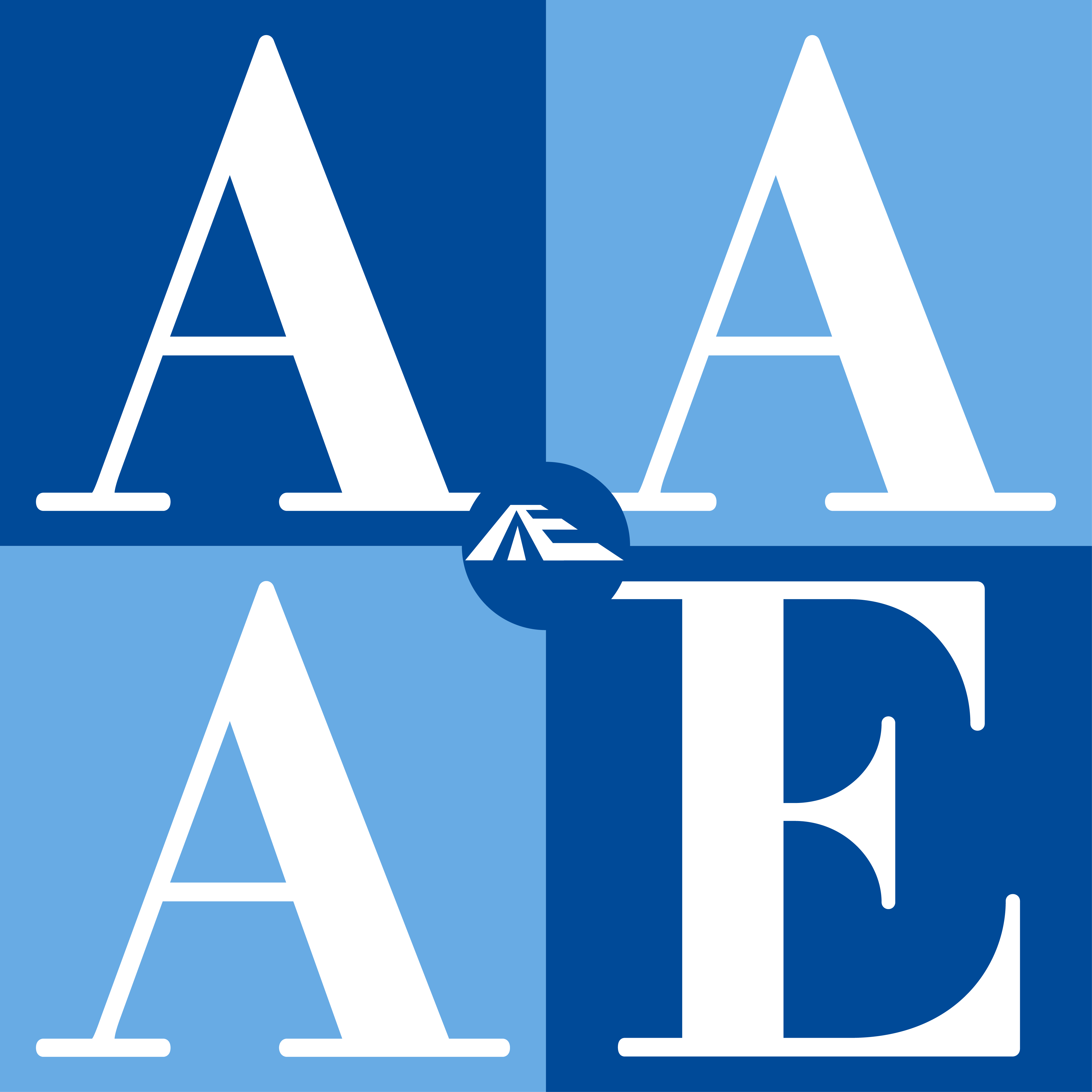 American Association of Airport Executives logo