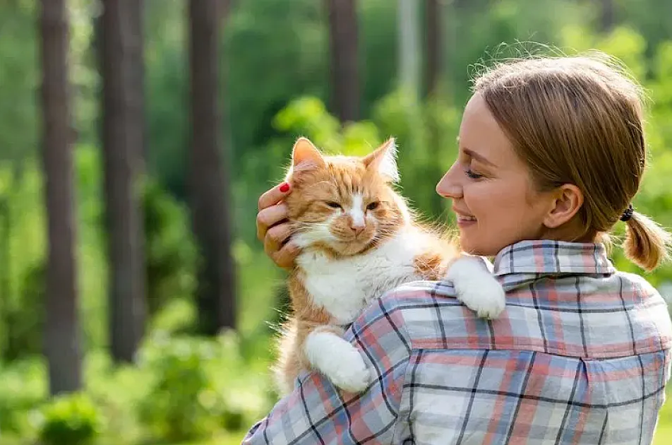 Can Cats Be Service Animals?